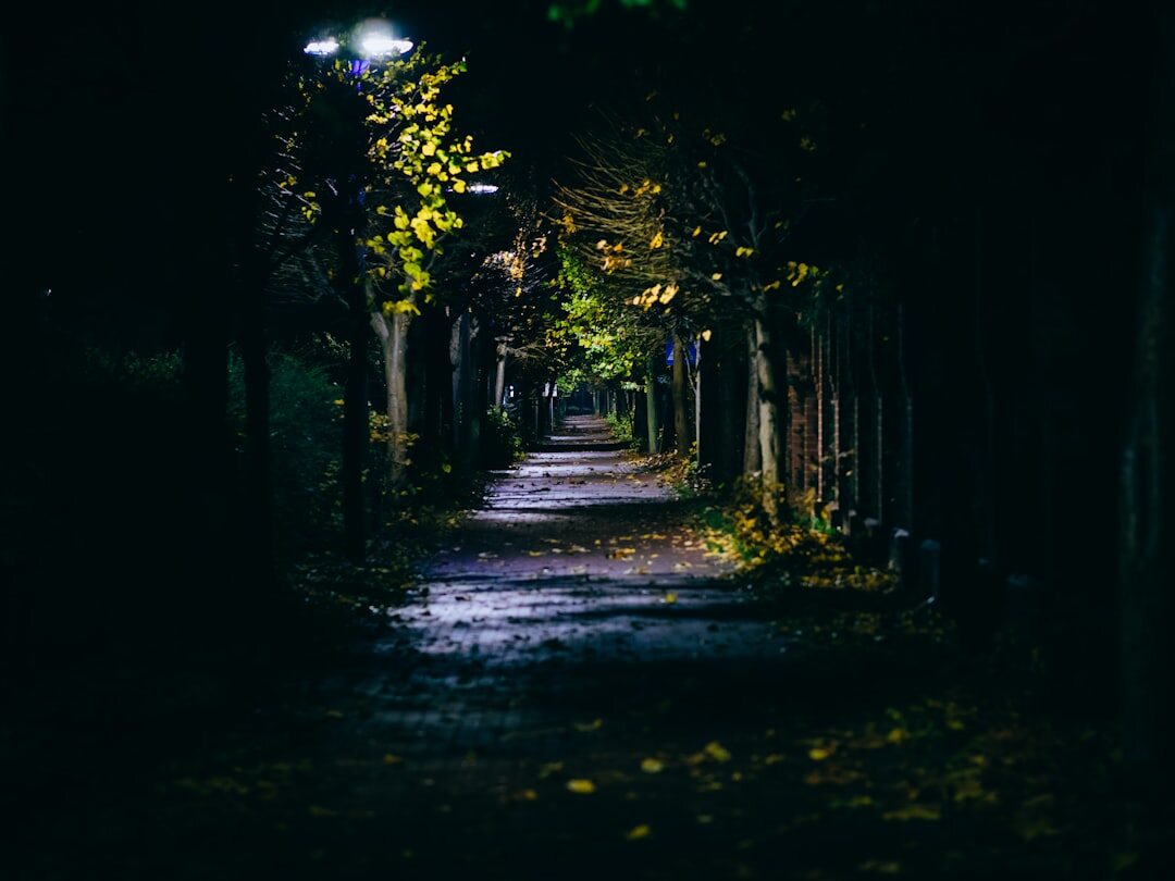 dark alley at night